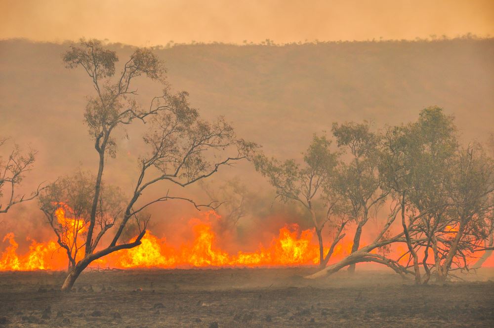 How One Travel Advisor is Dealing with the Fires Raging Across Australia
