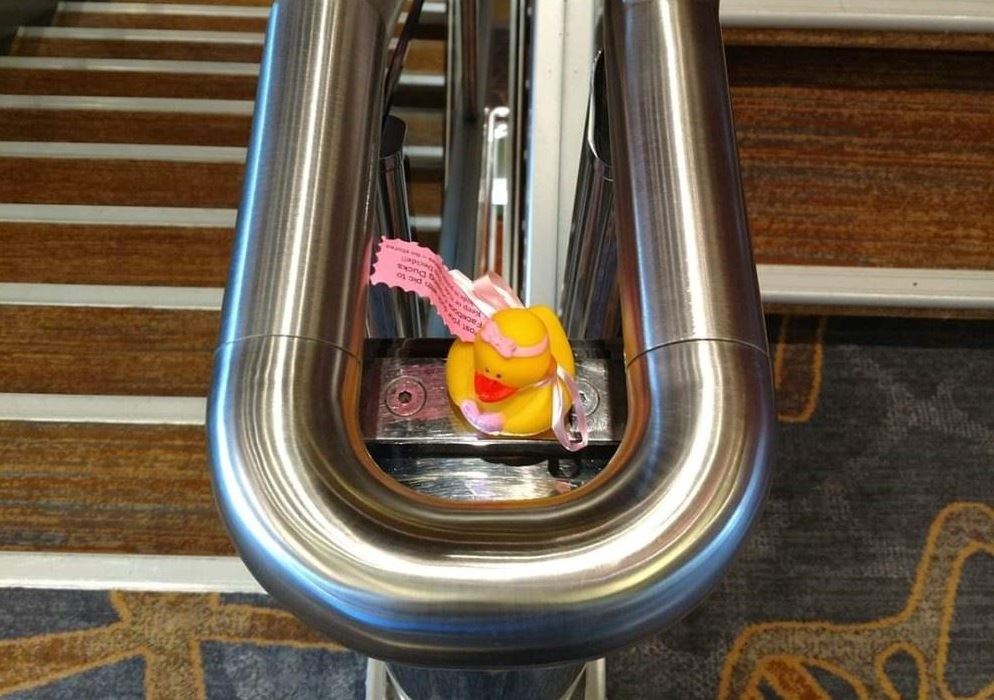 cruise duck hidden in the staircase of a cruise ship