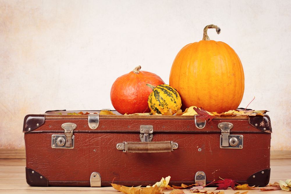 Thanksgiving Travel Bookings Ramp Up