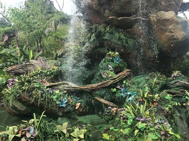 Disney's Pandora - the World of Avatar