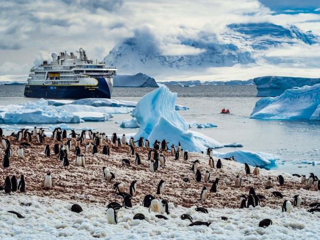 Lindblad Expeditions National Geographic Resolute antarctica 