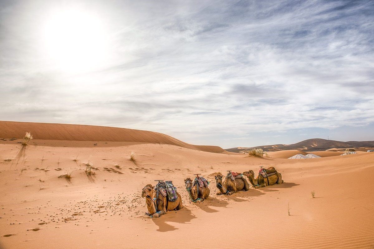 Heritage Tours Opens Desert Encampment Luxury Experience