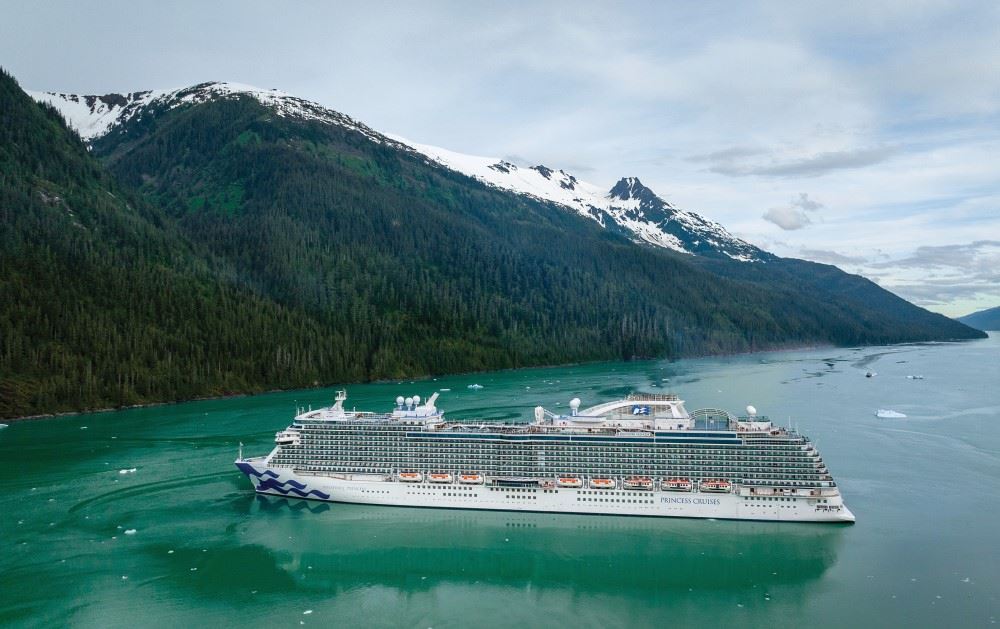 discovery princess cruise ship in endicott arm in alaska