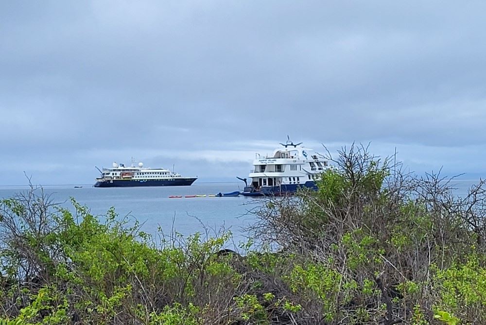 two ships in the galapagos