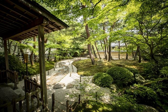 Japanese Gardens AK