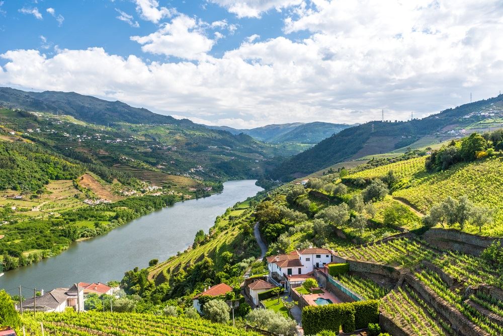 One Trend Leads To The Next On Portugal’s Douro River