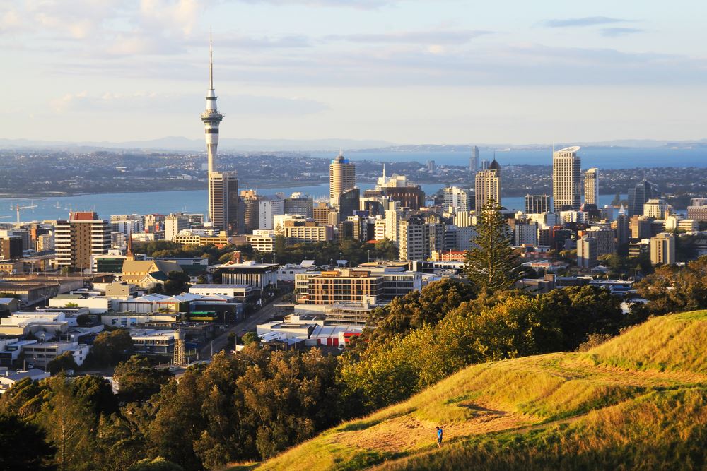 New Zealand Pursuing Electronic Travel Visas