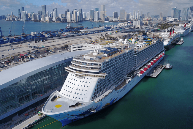 ‘Confusing’ Cruise Protocols Create Opportunities for Travel Advisors