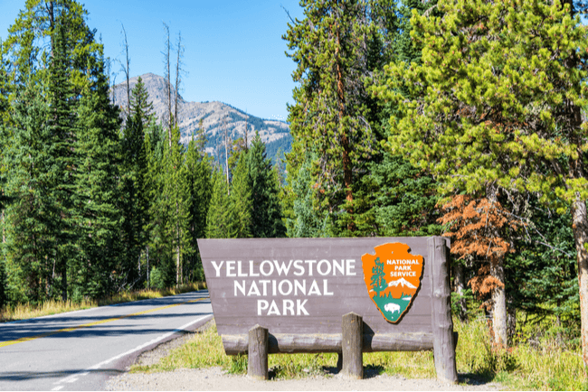 Insight Trafalgar TTC Domestic Tours Yellowstone