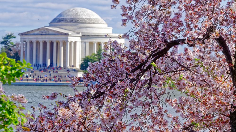 Six New Reasons to Visit Washington, D.C., in 2019