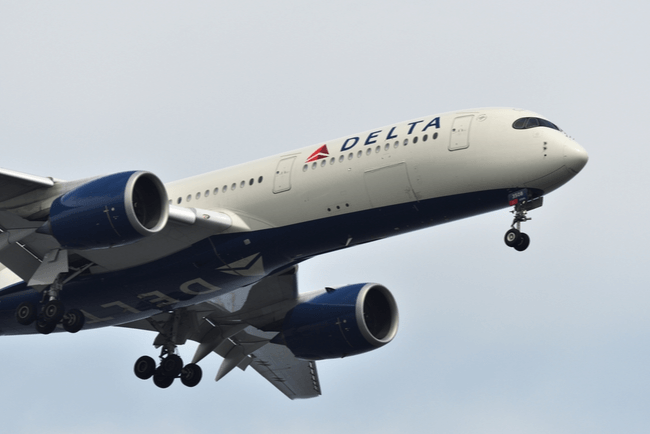 Amadeus Signs Distribution Deal with Delta Air Lines