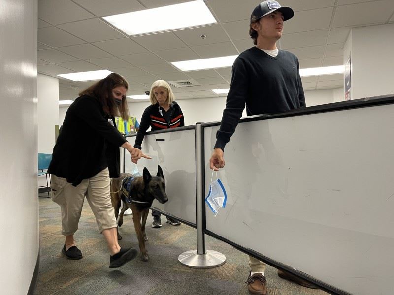 Miami International Becomes First U.S. Airport to Use COVID Sniffing Dogs
