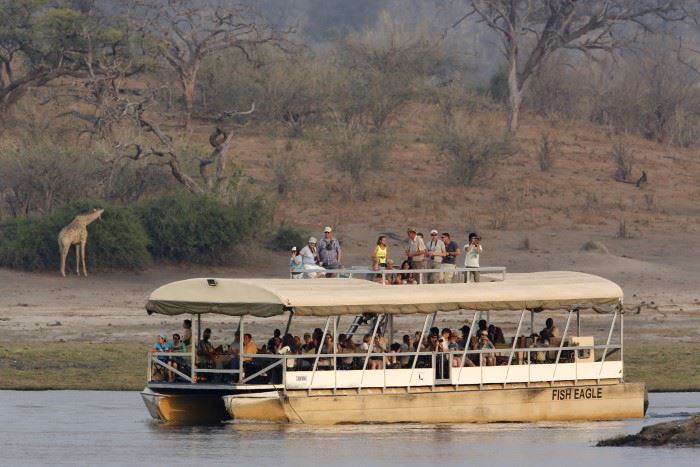 safari boat tour in namibia with giraffes in the background