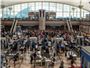 TSA Breaks Record on Sunday After Thanksgiving