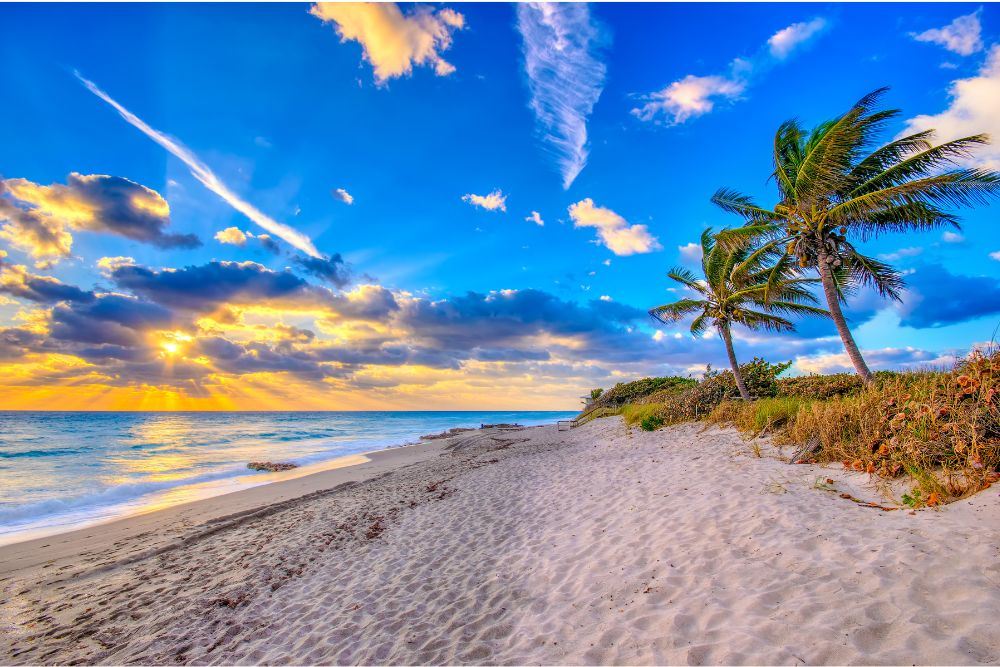 Discover The Palm Beaches Launches Travel Advisor Training Portal