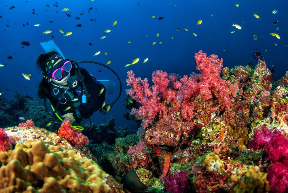 Divers Need Travel Advisor Expert Guidance