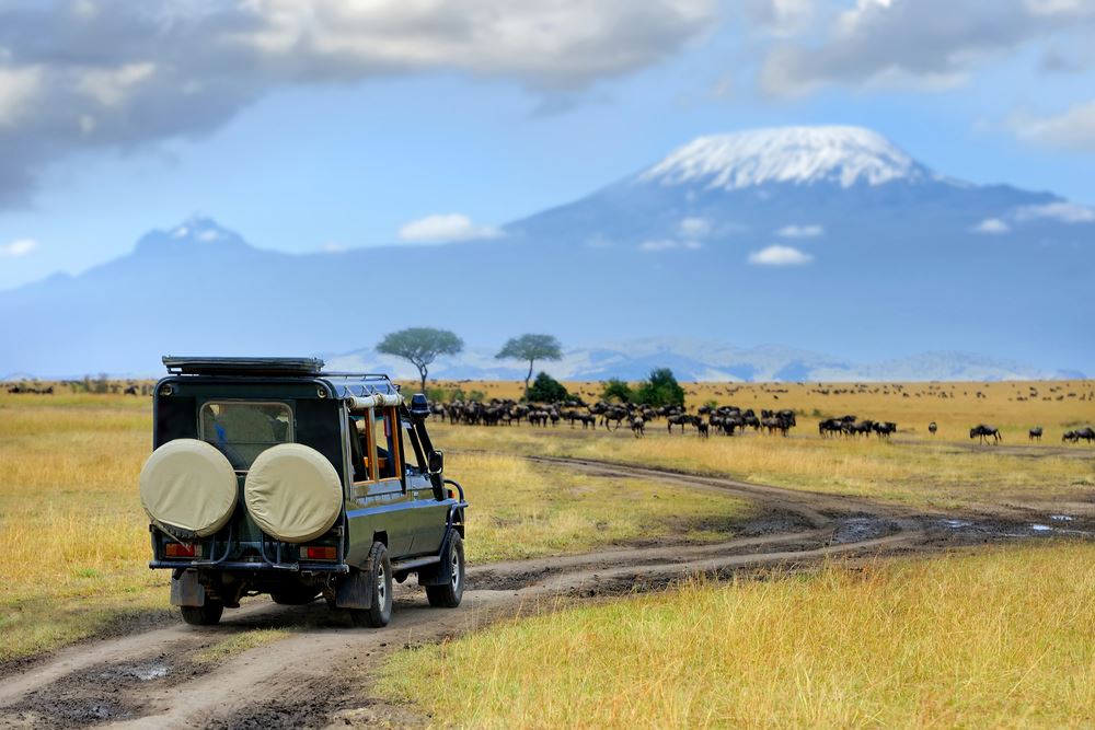 African Travel’s Fam Provides First-Hand Safari Experience