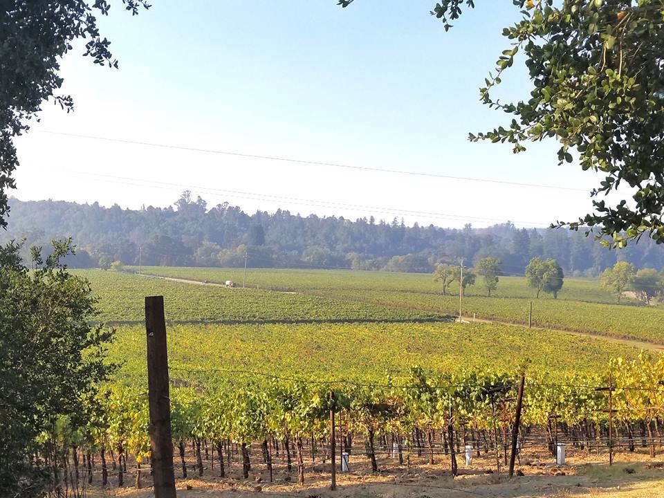 Northern California Wine Country is Open for Tourism