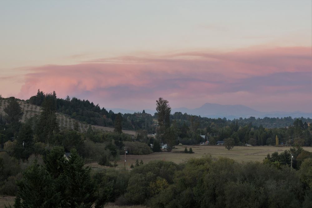 New Website Tool Helps Tourists Navigate Regions Affected by Wildfires
