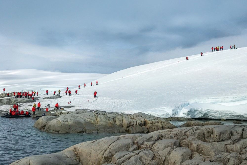 cruisers visiting antarctica