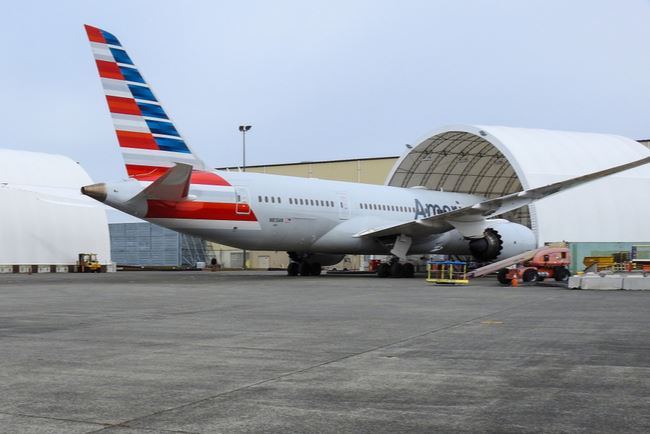 What Are the Travel Advisor Responsibilities for the Boeing 737 MAX Reintroduction?