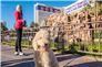 Pets Welcomed in Las Vegas: Furiendly Hotels on the Strip