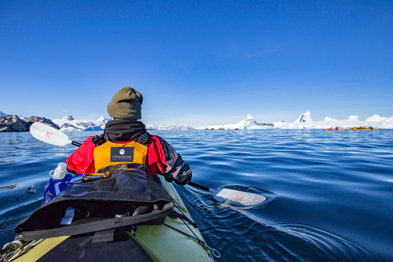 Blue Carbon Lab • The Intrepid Foundation