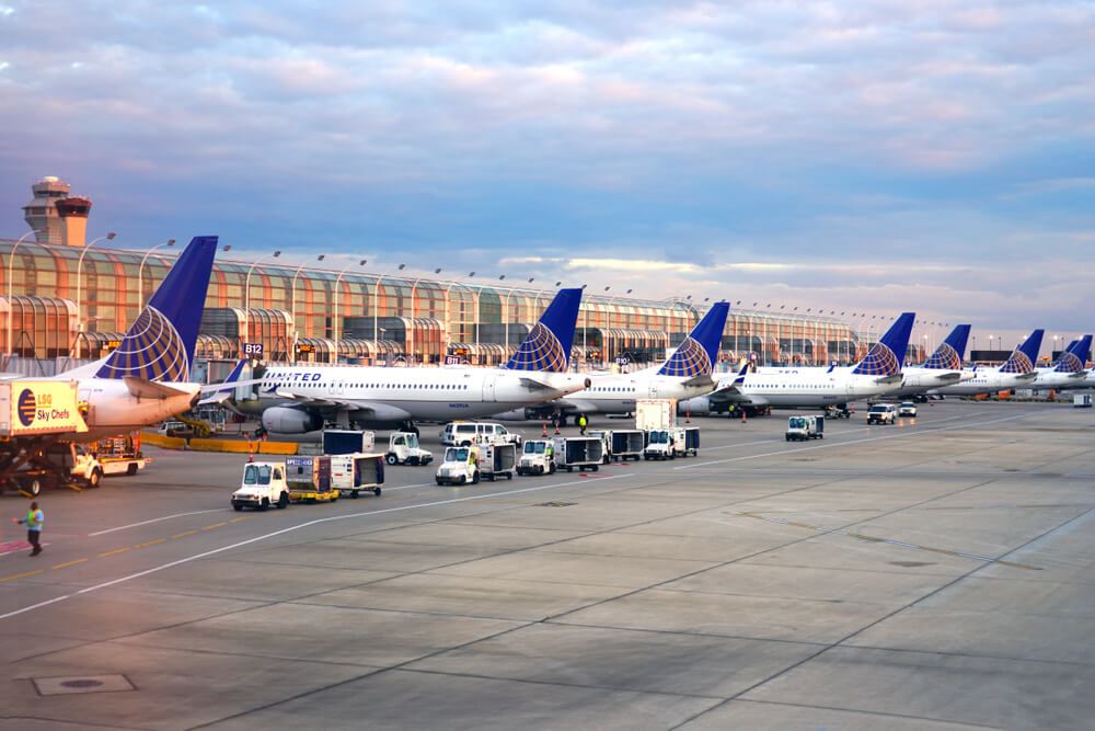 Looking for some - Chicago O'Hare International Airport